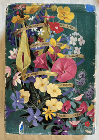 Image 2 of The Floral Year