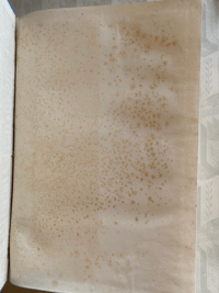 Image 6 of The Floral Year