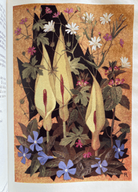 Image 7 of The Floral Year
