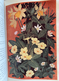 Image 8 of The Floral Year