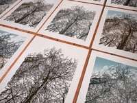 Image 5 of Woodland Edge (version 1 & 2)