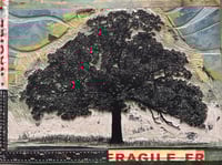 Image 4 of Oak in...