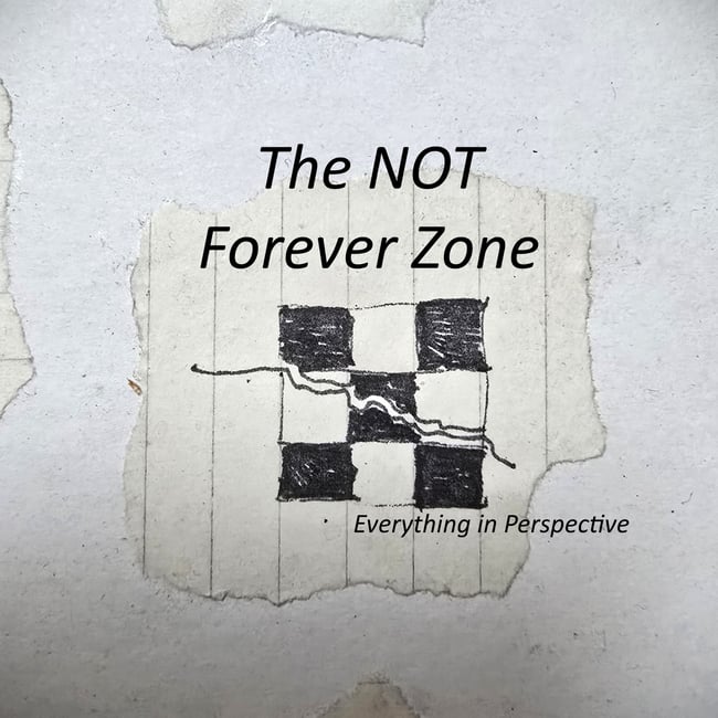 The (NOT)Forever  Zone