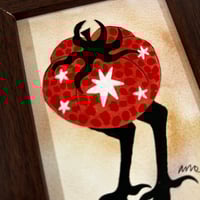 Image 2 of Baba Tomata 3