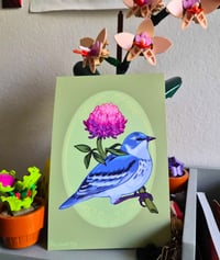 Image 2 of 4X6 Warbler Clover Flower Print