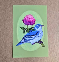 Image 1 of 4X6 Warbler Clover Flower Print