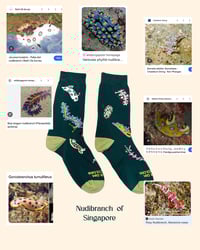 Never dim your colors socks