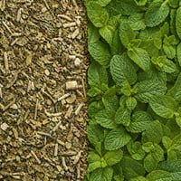 Image 3 of Earthy Fresh