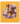 Floral Majesty Horse T-Shirt