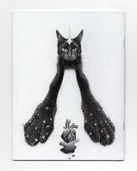 Image 2 of The Wish comic (2nd Edition)