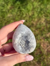 Image 1 of Celestite Egg #1