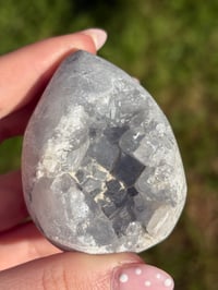 Image 2 of Celestite Egg #1