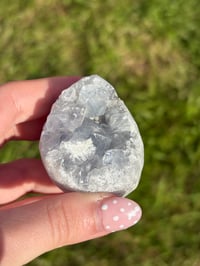 Image 3 of Celestite Egg #5