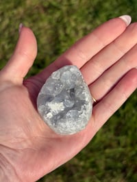 Image 7 of Celestite Egg #5