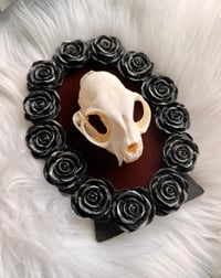 Image 1 of Kitty Skull No. II