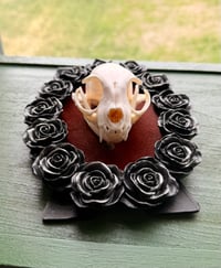 Image 4 of Kitty Skull No. II