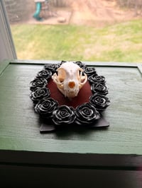 Image 5 of Kitty Skull No. II