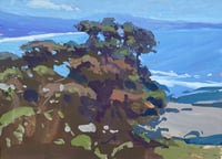 Hillside View of Capistrano Bay