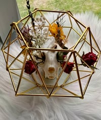 Image 1 of Geometric Kitty Skull No. I