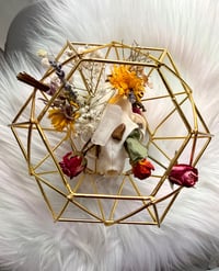 Image 3 of Geometric Kitty Skull No. I