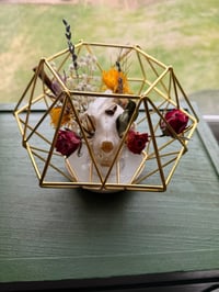 Image 6 of Geometric Kitty Skull No. I