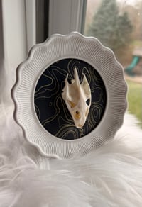 Image 1 of Turtle Skull No. II