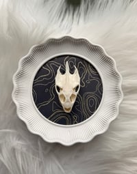 Image 3 of Turtle Skull No. II
