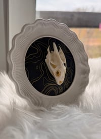 Image 4 of Turtle Skull No. II