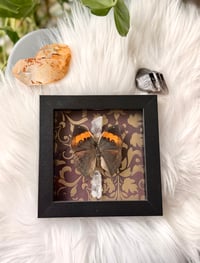 Image 1 of Orange Oakleaf & Quartz