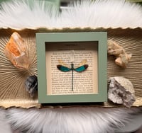 Image 2 of Green Metalwing No. I