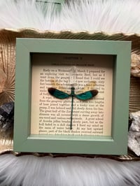 Image 3 of Green Metalwing No. I