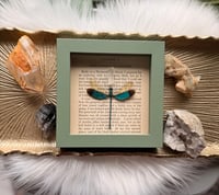 Image 4 of Green Metalwing No. I