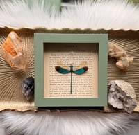 Image 5 of Green Metalwing No. I