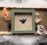 Image 3 of Blue Carpenter Bee No. I