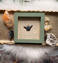 Image 4 of Blue Carpenter Bee No. I
