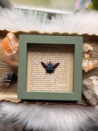 Image 1 of Blue Carpenter Bee No. II
