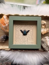 Image 3 of Blue Carpenter Bee No. II