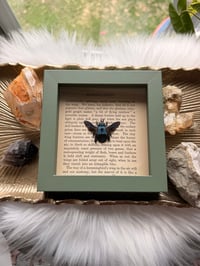 Image 4 of Blue Carpenter Bee No. II
