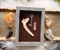 Image 2 of Fox Jawbone & Orange Selenite 