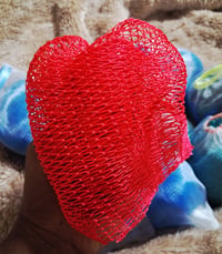 Image 1 of African Net Sponges