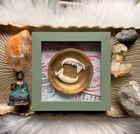 Image 1 of Mink Jaw Yin & Yang