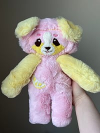 Meyer the pink lemonade pup