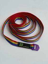 Image 4 of 88 Surfboards 4m Rainbow Tie Down