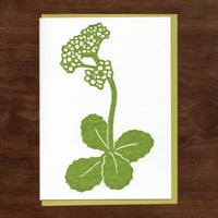 Image 3 of Spring Ephemerals Notecard Set #5