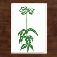 Image 4 of Spring Ephemerals Notecard Set #5