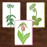 Image 1 of Spring Ephemerals Notecard Set #5