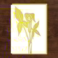 Image 2 of Spring Ephemerals Notecard Set #3
