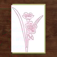 Image 4 of Spring Ephemerals Notecard Set #3