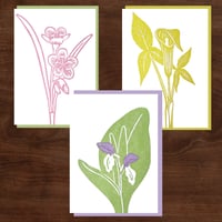 Image 1 of Spring Ephemerals Notecard Set #3