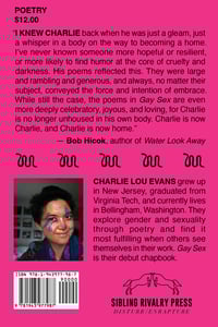 Image 2 of Gay Sex by Charlie Lou Evans (Pre-Order)